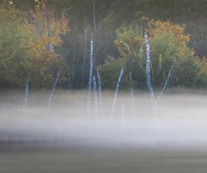 KAMPINOSKI PARK NARODOWY