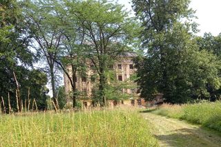 Tajemniczy Pałac w Piotrkowicach. Perła architektury baroku wygląda jak wieżowiec