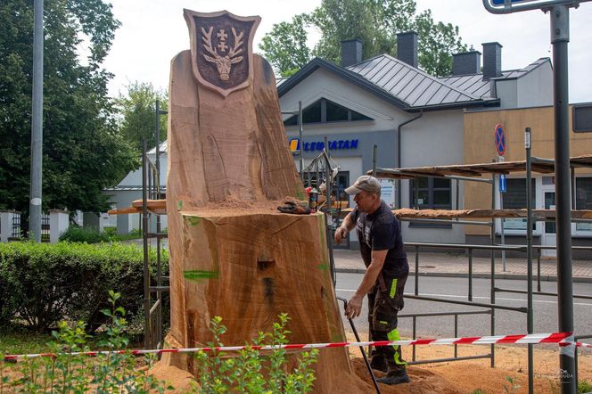 Wyrzeźbili tron z pnia znanego hrubieszowskiego dębu