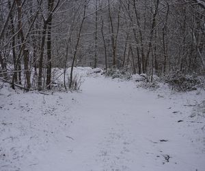 Zima w Świętokrzyskiem. Skarżysko-Kamienna (22.11.2024)