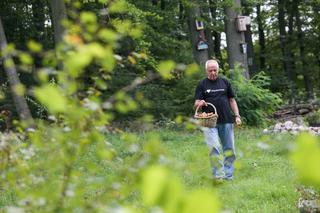 Stefan się wyciszył