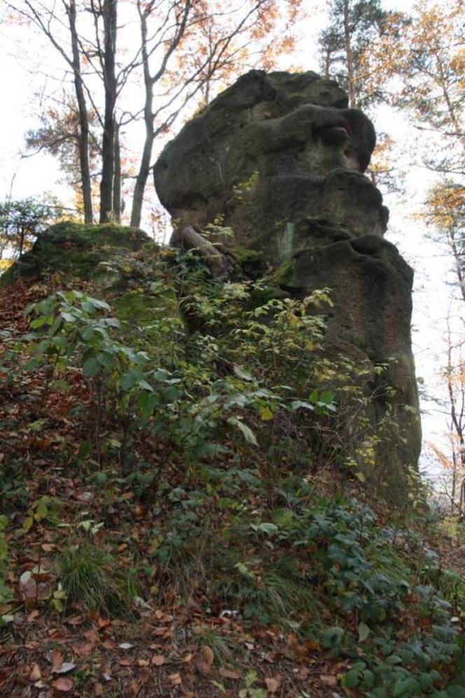 Te skały w lesie pod Wolą Komborską skrywają tajemnice. Są naprawdę nietypowe 