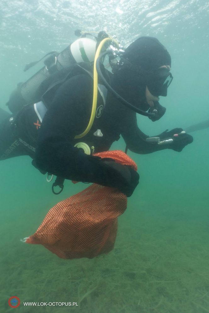 jezioro Tarnobrzeskie Niezwykła akcja płetwonurków