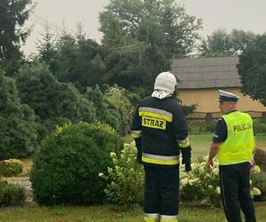 Potężna nawałnica przeszła przez woj. lubelskie. Straty są ogromne, jedna osoba jest ranna [ZDJĘCIA]