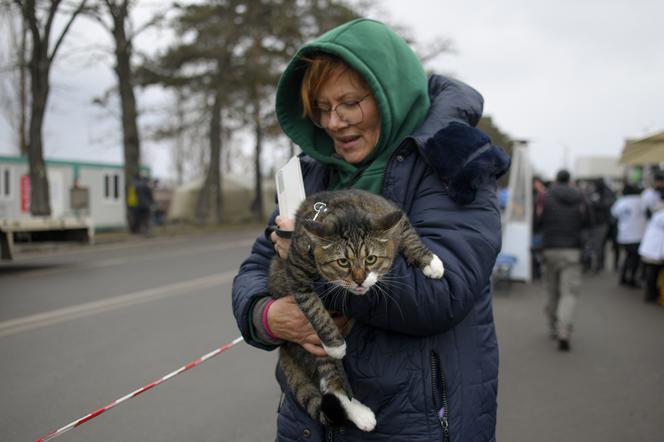 Ukraina. Uratowane zwierzęta
