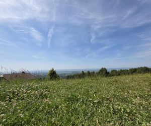 Wieża widokowa w Korczynie