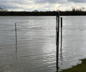 Poziom wody w Wiśle w Toruniu i okolicach