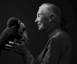 Nie żyje słynna badaczka szympansów! Jane Goodall broniła zwierząt do ostatniego oddechu