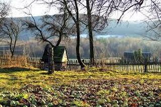 Kapkazy w gminie Bodzentyn