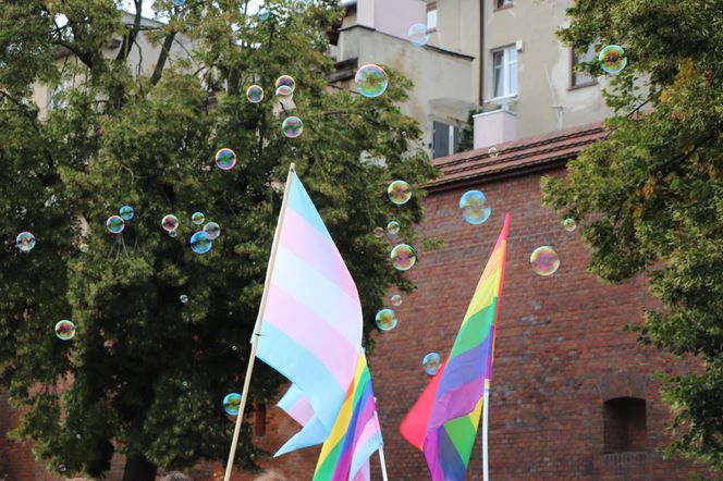 Marsz Równości w Toruniu i kontrmanifestacja