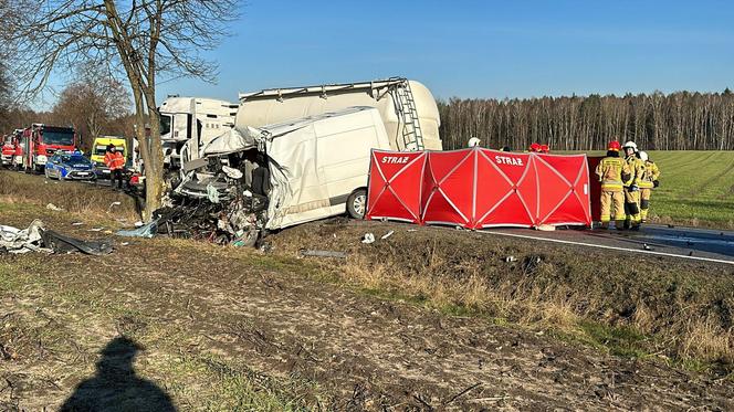 Śmiertelny wypadek pod Opocznem. 39-latek z busa nie przeżył zderzenie z tirem