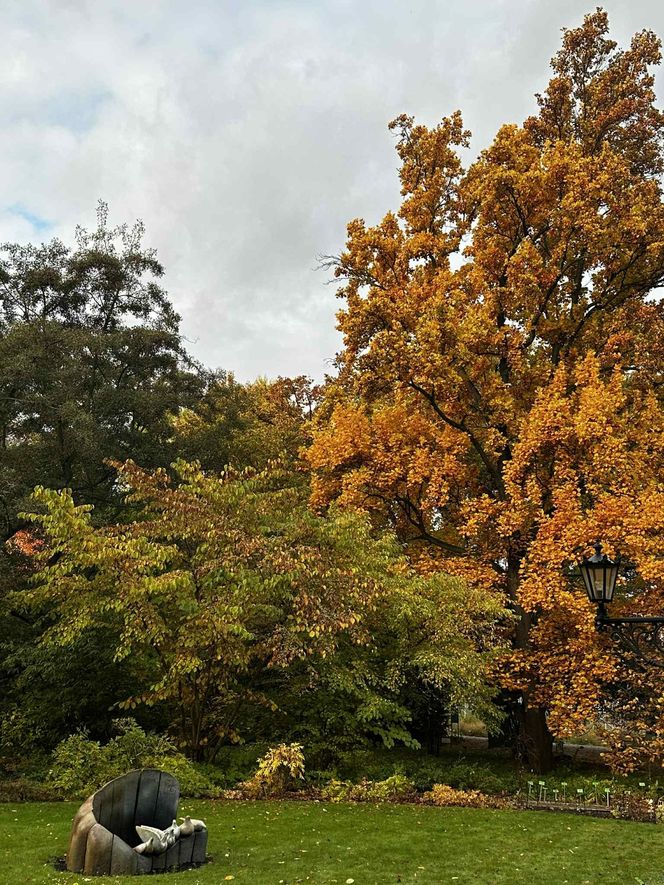 Ogród Botaniczny we Wrocławiu