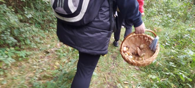 56. Rajd "Rydz na patelni"