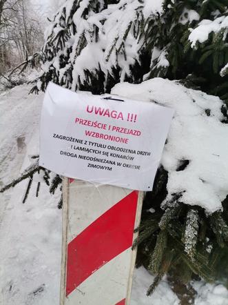 Leśnicy ostrzegają - uwaga na okiść! Nie wchodźcie do lasów, łamią się drzewa i gałęzie [GALERIA]