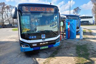 Nowe autobusy zeroemisyjne siedleckiego MPK można spotkać na trasach linii 12, 16 i 18