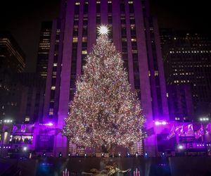 Najsłynniejsza choinka świata już zachwyca na Manhattanie