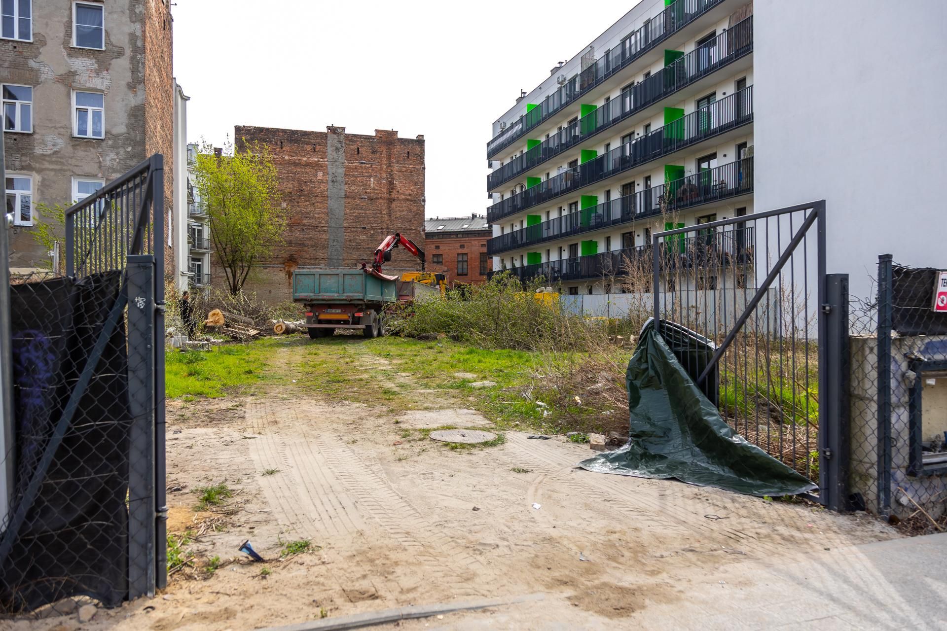 Nielegalna wycinka drzew przy ul. Radzymińskiej 14 w Warszawie