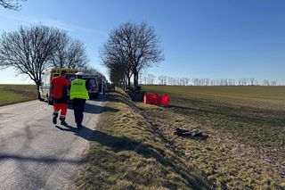 Tragedia na drodze pod Nysą. Samochód wjechał w drzewo. Nie żyją cztery osoby