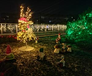 Tak wygląda Zaczarowany Ogród w Bydgoszczy