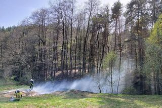 Płoną lasy w powiecie bocheńskim