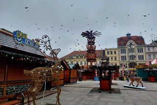 Choinka stoi. Most Staromiejski się stroi. Bydgoszcz rozbłyśnie już 21 listopada 2025. Rusza Bydgoski Jarmark Świąteczny