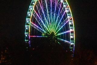 Oko Kopernika wieczorową porą. Tak wygląda w Toruniu