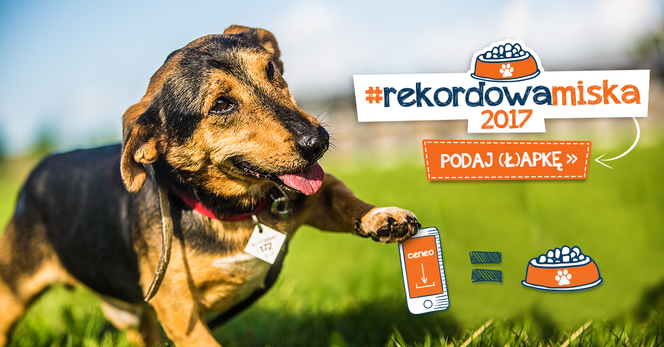 Zasady akcji są bardzo proste!