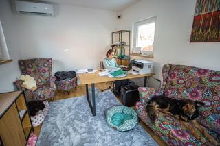 Przemyśl. U nich psy nie czekają na adopcję w klatkach [GALERIA]	