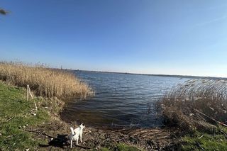 Przygodzice. Mało wody w stawach. Mniej ryb i zagrożenie dla przyrody