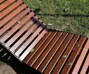 Park Lawendowy na osiedlu TBS w Białymstoku