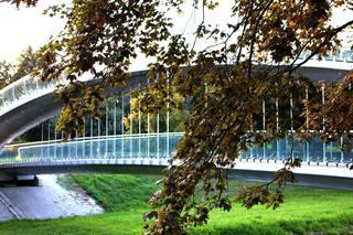 Roślinność w Lublinie zwiastuje zbliżającą się jesień