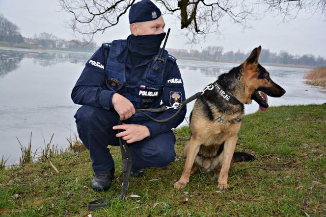 Szarik - nowy policyjny pies w Komendzie Miejskiej Policji w Suwałkach [ZDJĘCIA]