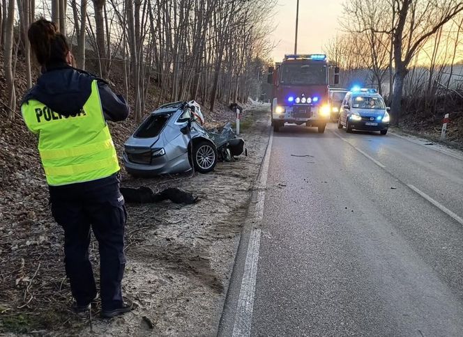 Sopieszyno. Audi roztrzaskało się na drzewie. 36-latek nie miał szans na przeżycie