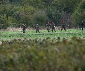 Służby pracują w Choinach w pow. świdnickim. Znaleziono tam szczątki rakiety