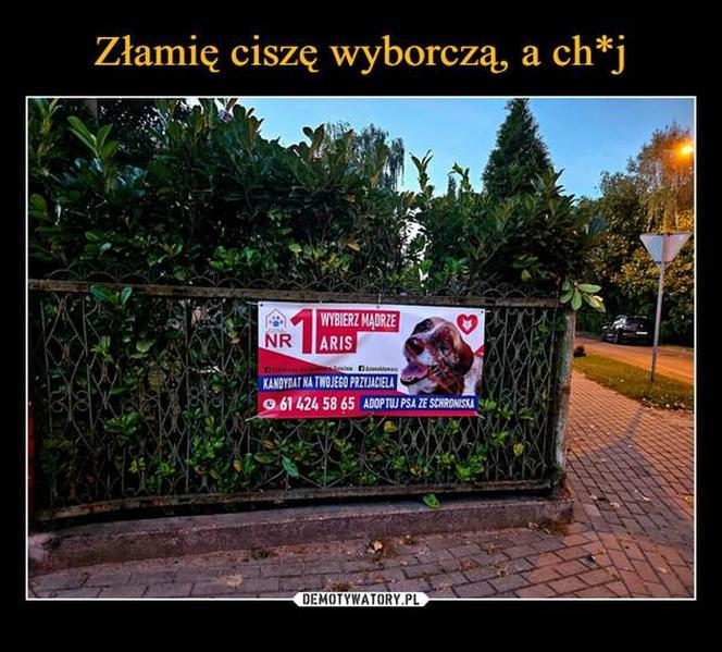 Wybory 2023 najlepsze MEMY. Szydera na maksa! Internauci bezlitośni dla polityków