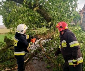 Potężna burza przeszła przez Bydgoszcz i region. Ponad 400 interwencji strażaków!
