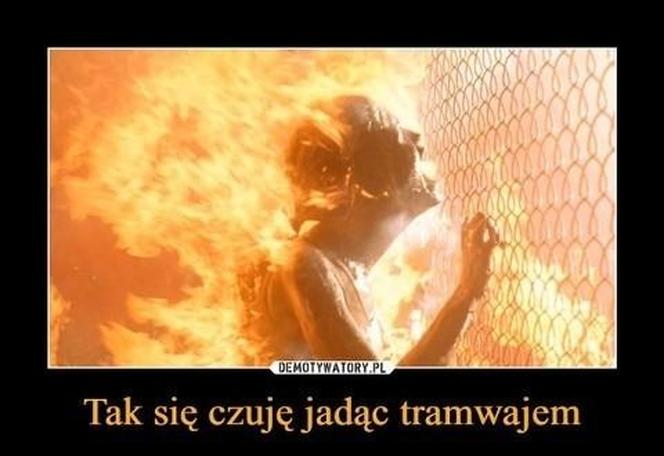 Do Polski dotarła fala gorąca. Te memy na temat upalnych dni rozbawią wszystkich do łez!