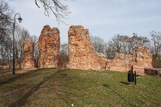 Dawniej królowie i bitwy, a dziś… tylko ruiny zamku