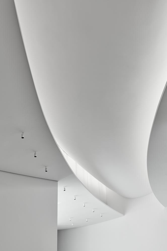 Muzeum Sztuki Współczesnej w Huston_ Steven Holl Architects_49
