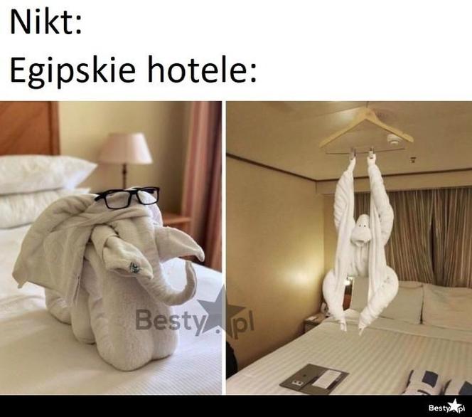 Wakacje all inclusive. Oto najlepsze memy tego lata!