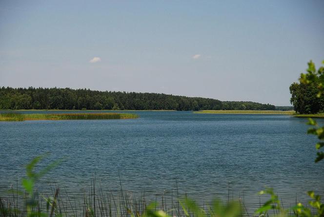 To najczystsze jeziora w Polsce. Znajdują się na Podlasiu!