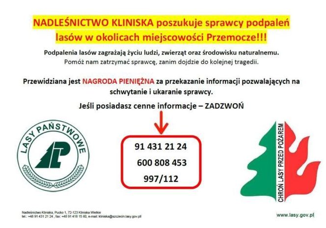 W lesie grasuje podpalacz? Nadleśnictwo wyznaczyło nagrodę