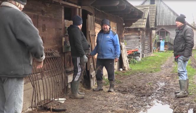Rolnicy. Podlasie. Karmienie zwierzą dyniami i sianem. Gienek docinał Sławkowi