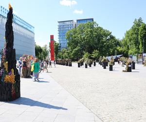 Weekend z florystyką w Lublinie. Zobacz imponujące roślinne instalacje w centrum miasta!