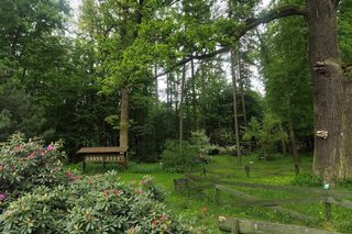 Raj dla miłośników przyrody w pobliżu świętokrzyskiego!