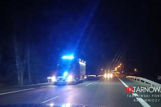 Dębno. Osobówka uderzyła w stado dzików na DK 94