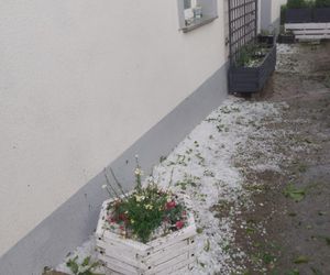Zniszczone plantacje warzyw i owoców na Dolnym Śląsku. To był prawdziwy armagedon 
