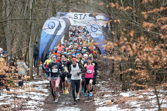 W pięknej scenerii pokonali 5-kilometrową trasę. Za nami kolejny bieg z cyklu City Trail w Katowicach 