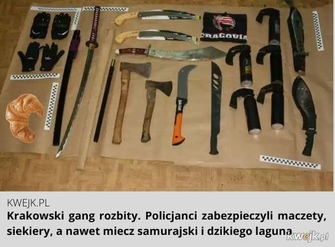 Krakowski lagun to prawdziwy FENOMEN! [MEMY]