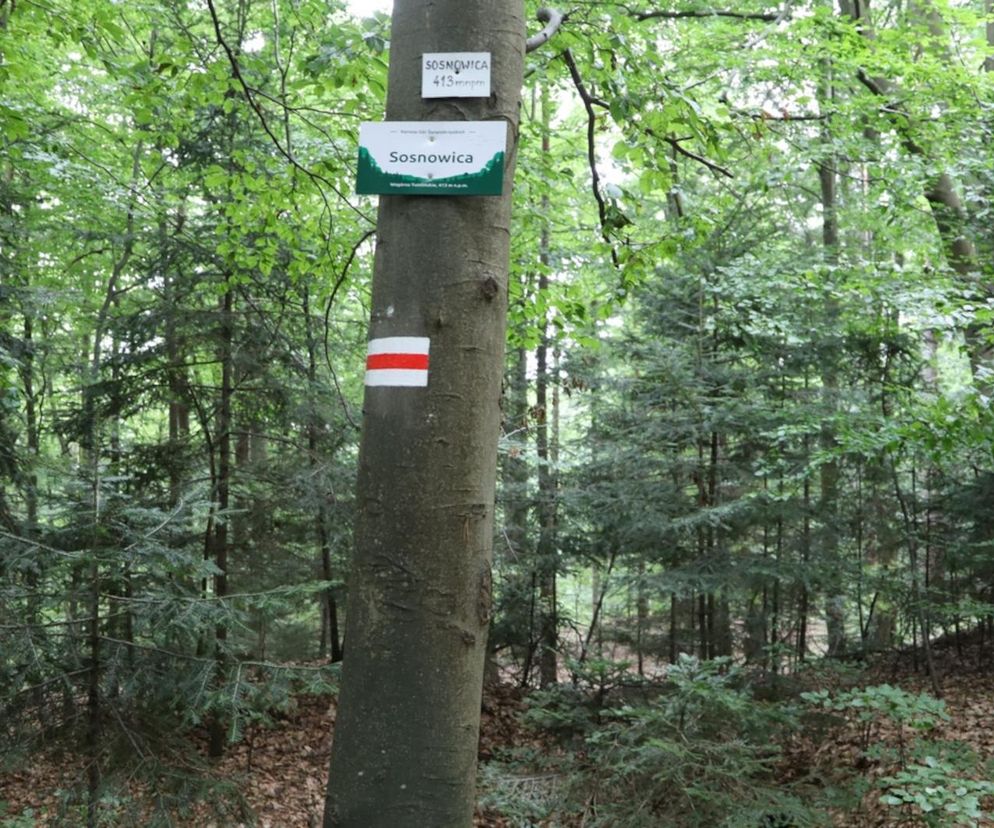Wzgórza Tumlińskie